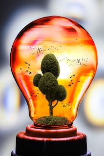 lightbulb_earth